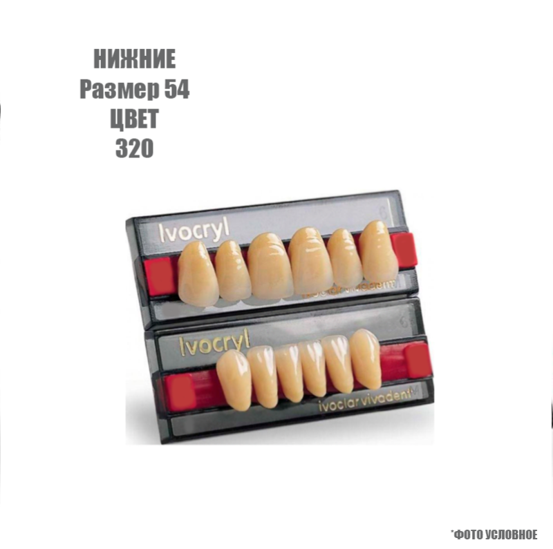 Зубы искуственные фронтальные нижние Ivoclar Set of 6 L UK54 320 купить