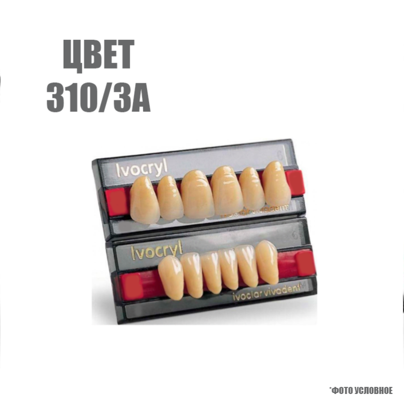 Зубы искуственные в цвете chromascop передние для н/ч SR Vivodent set of 6 lower 310/3А А9 купить