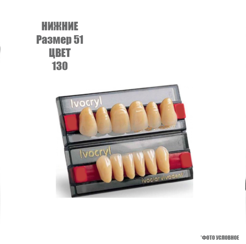 Зубы искуственные фронтальные нижние Ivoclar Set of 6 L UK51 130 купить