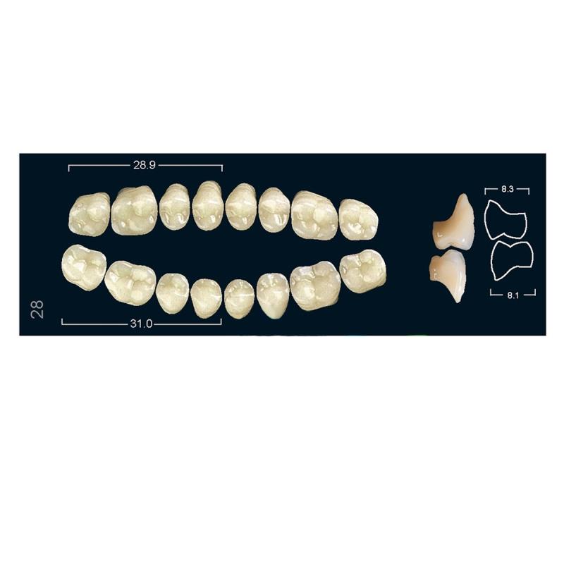 Зубы искуственные боковые верхние Ivoclar Set of 8 U OK28O A2 купить